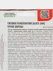 Ежевика ремонтантная Чёрное Варенье (семена)