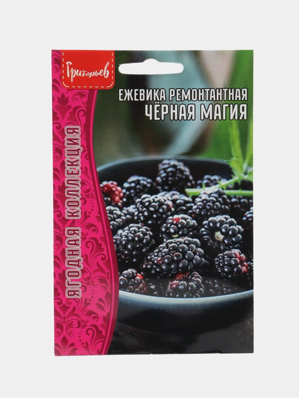 Ежевика ремонтантная Чёрная Магия (семена)