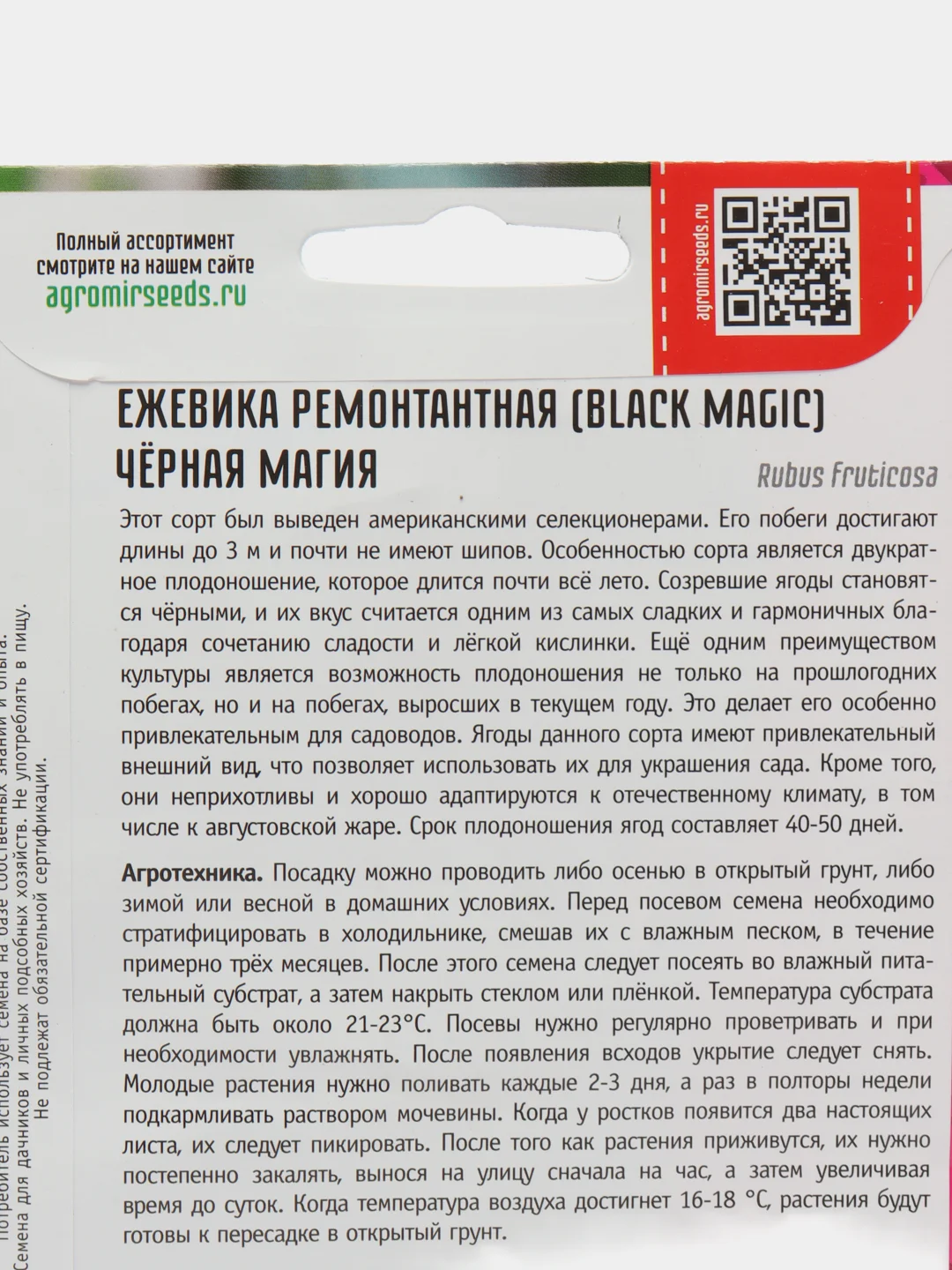 Ежевика ремонтантная Чёрная Магия (семена)