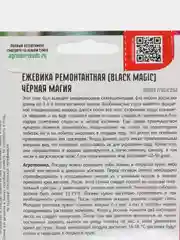 Ежевика ремонтантная Чёрная Магия (семена)