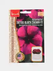 Катарантус Tattoo Black Cherry F1 (семена,цветы)