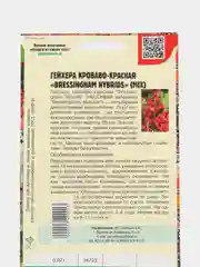 Гейхера кроваво-красная Bressingham Hybrids Mix (семена,цветы)