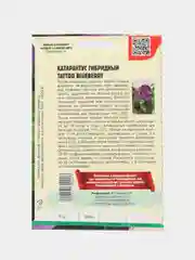 Катарантус Tattoo Blueberry F1 (семена,цветы)