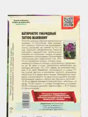 Катарантус Tattoo Blueberry F1 (семена,цветы)