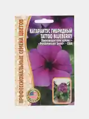 Катарантус Tattoo Blueberry F1 (семена,цветы)