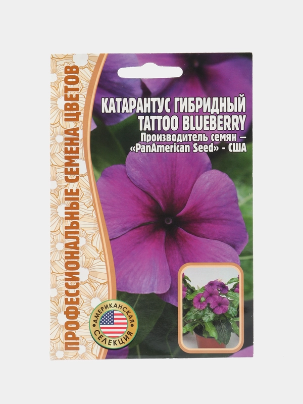 Катарантус Tattoo Blueberry F1 (семена,цветы)
