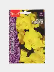 Энотера Ламарка (семена,цветы)
