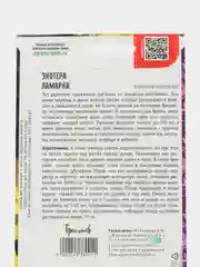 Энотера Ламарка (семена,цветы)