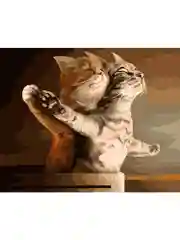 Кошачий Титаник Картина по номерам на холсте с подрамником 40х50 "Art on Canvas"