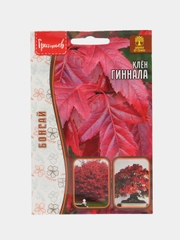 Клён Гиннала (семена)