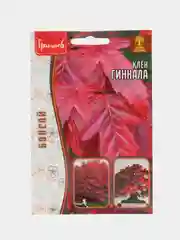 Клён Гиннала (семена)
