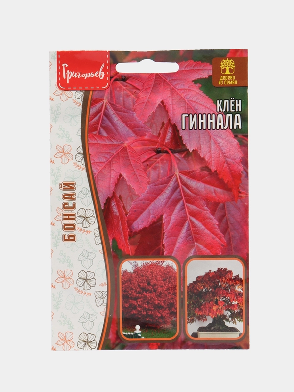 Клён Гиннала (семена)