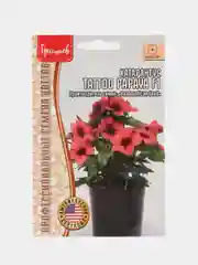 Катарантус Tattoo Papaya F1 (семена,цветы)