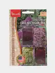 Трахелиум Lake Michigan Mix (семена,цветы)