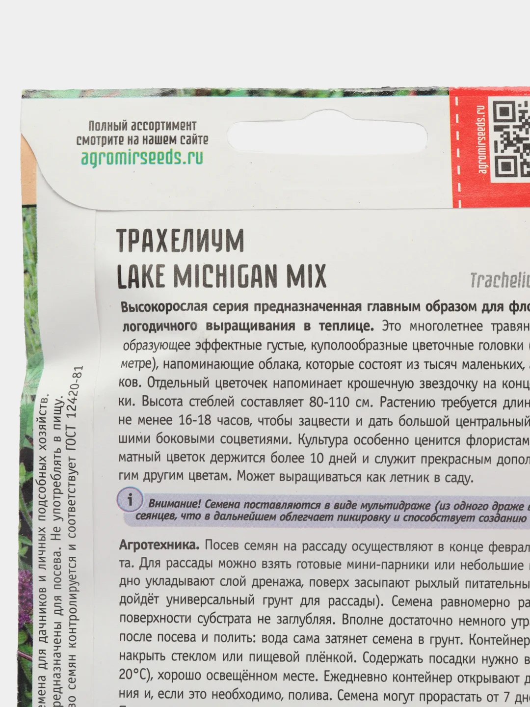 Трахелиум Lake Michigan Mix (семена,цветы)