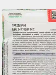 Трахелиум Lake Michigan Mix (семена,цветы)
