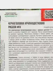 Черноголовка крупноцветковая Pagoda Mix (семена,цветы)