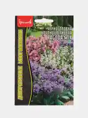 Черноголовка крупноцветковая Pagoda Mix (семена,цветы)