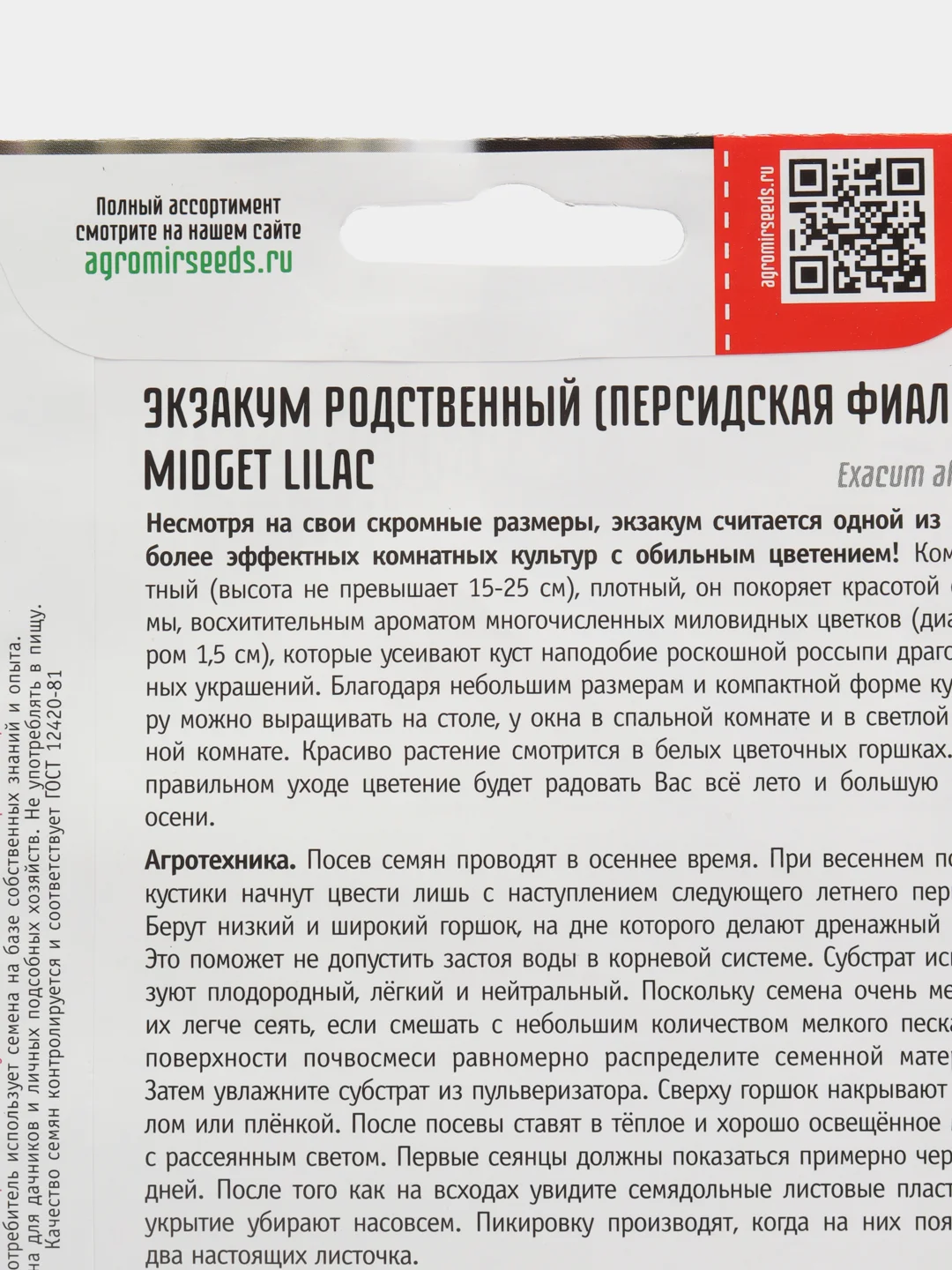 Экзакум родственный Midget Lilac (Персидская Фиалка) (семена,цветы)