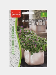Экзакум родственный Midget Lilac (Персидская Фиалка) (семена,цветы)