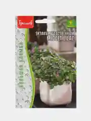 Экзакум родственный Midget Lilac (Персидская Фиалка) (семена,цветы)