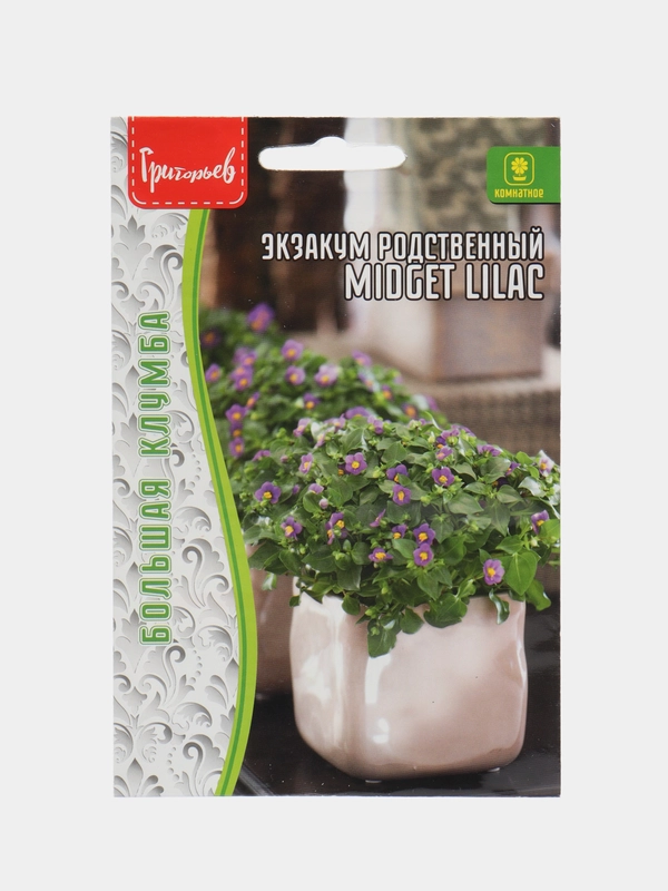 Экзакум родственный Midget Lilac (Персидская Фиалка) (семена,цветы)