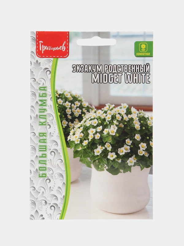 Экзакум родственный Midget White (Персидская Фиалка) (семена,цветы)