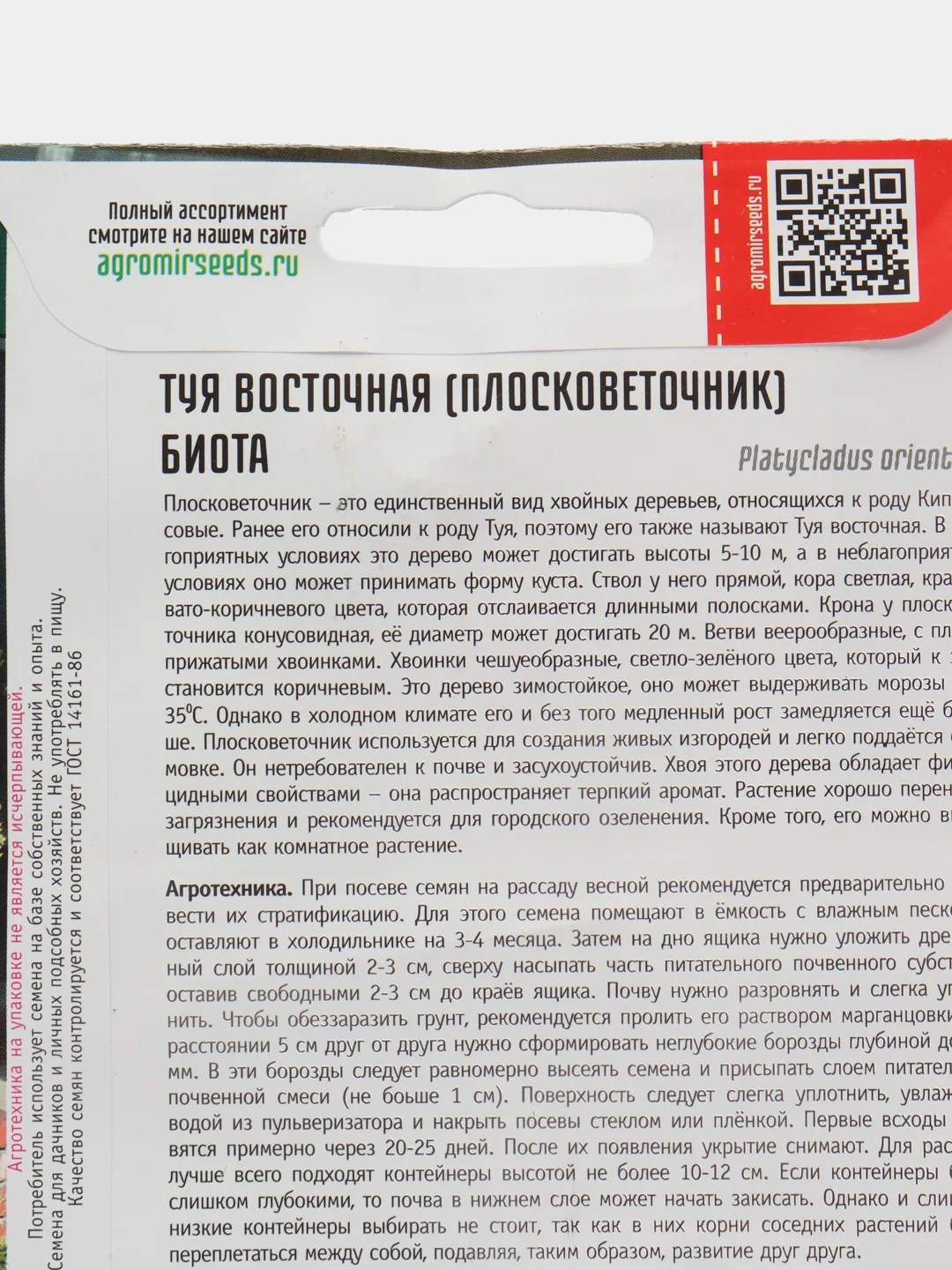 Туя восточная Биота (Плосковеточник)(семена)