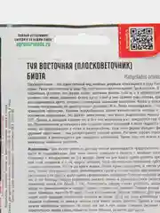 Туя восточная Биота (Плосковеточник)(семена)