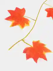 Оранжевый лиана осенняя, листья клена, 1,2,5 штук, гирлянда осенняя, искусственные