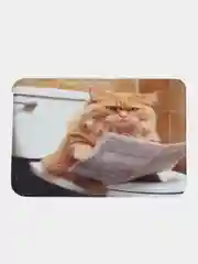 Белый коврик для ванной и туалета мягкий "Возмущённый кот" (bath430072)