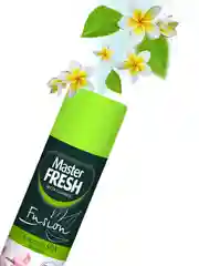 Master FRESH освежитель воздуха Свежесть SPA 300 мл