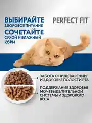 Корм для домашних кошек Perfect Fit, сухой, с курицей, 650 г