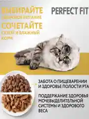 Корм Perfect Fit, для кошек с чувствительным пищеварением, с индейкой, 650 г