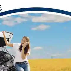 Черный газовые упоры (амортизаторы) капота для CHANGAN, к-т 2 шт / Чанган