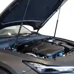 Газовые упоры (амортизаторы) капота для CHANGAN, к-т 2 шт / Чанган