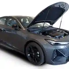 Газовые упоры (амортизаторы) капота для CHANGAN, к-т 2 шт / Чанган