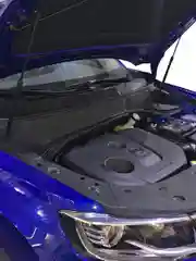 Газовые упоры (амортизаторы) капота для CHANGAN, к-т 2 шт / Чанган