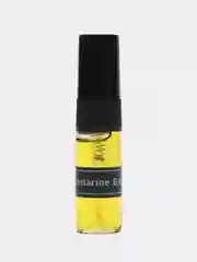 Духи женские масляные по мотивам Aqua Allegoria Mandarine Basilic, 3мл