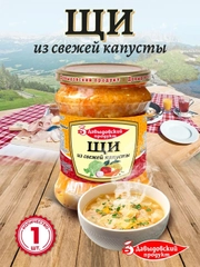 Щи из свежей капусты Давыдовский продукт, 450 г