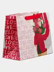 Коралловый новогодние пакеты