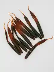 Слаг секси импакт МВ