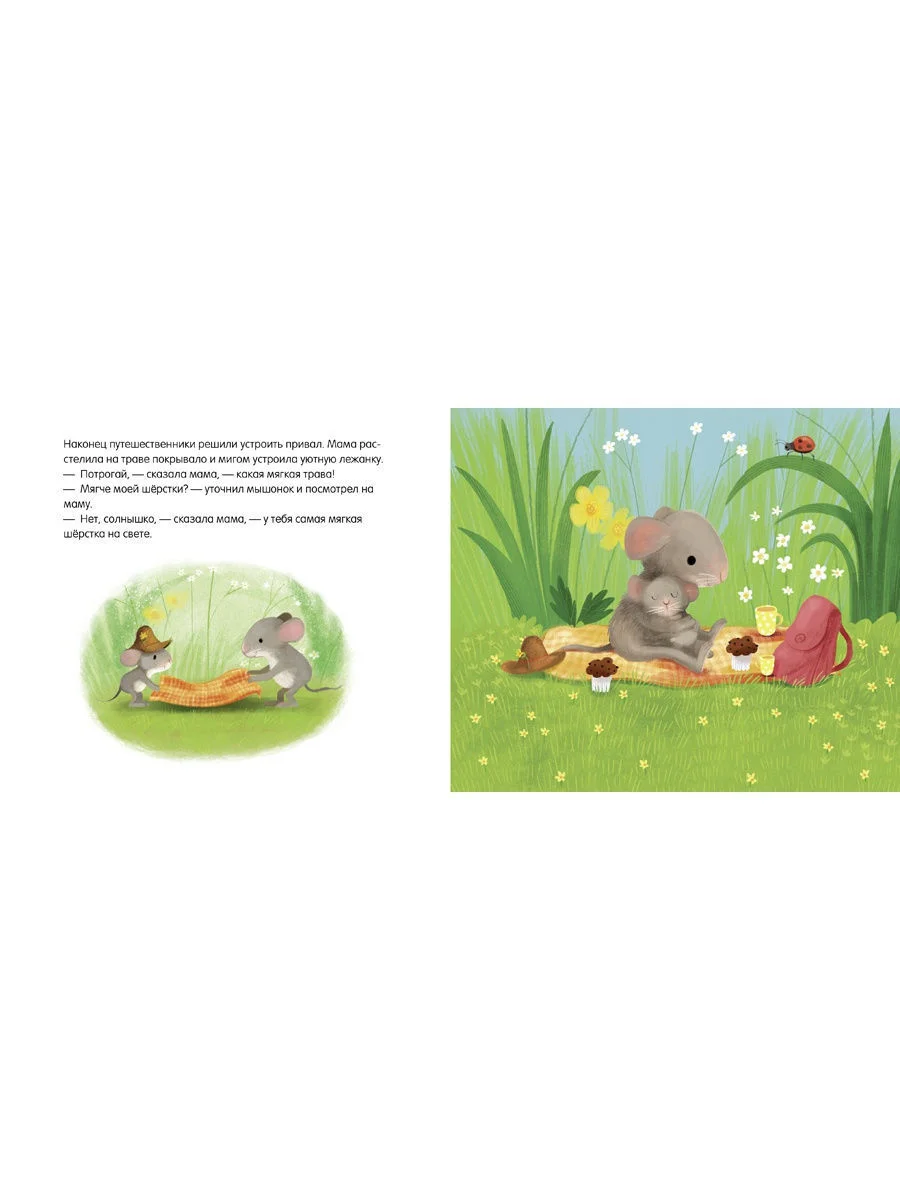 Книжки-картонки. Самый лучший мышонок на свете