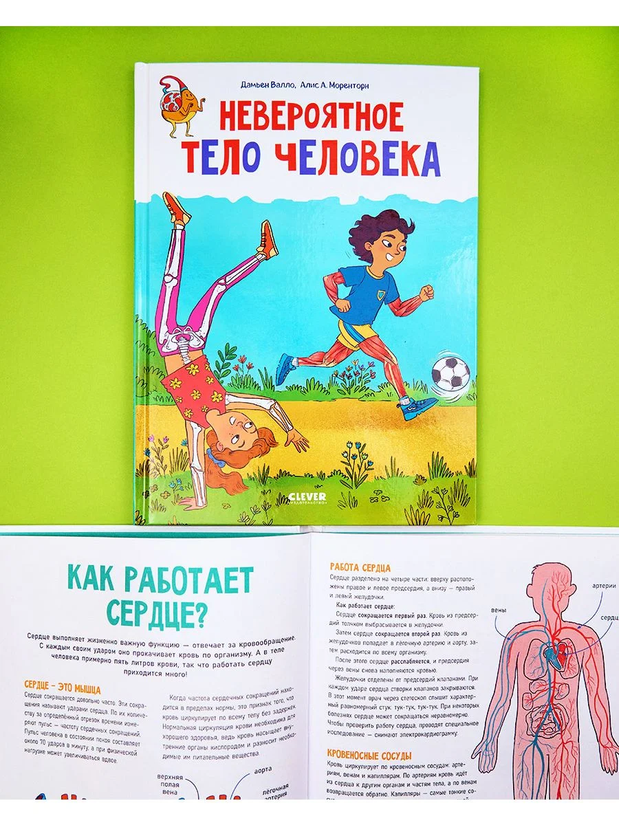 Удивительные энциклопедии. Невероятное тело человека