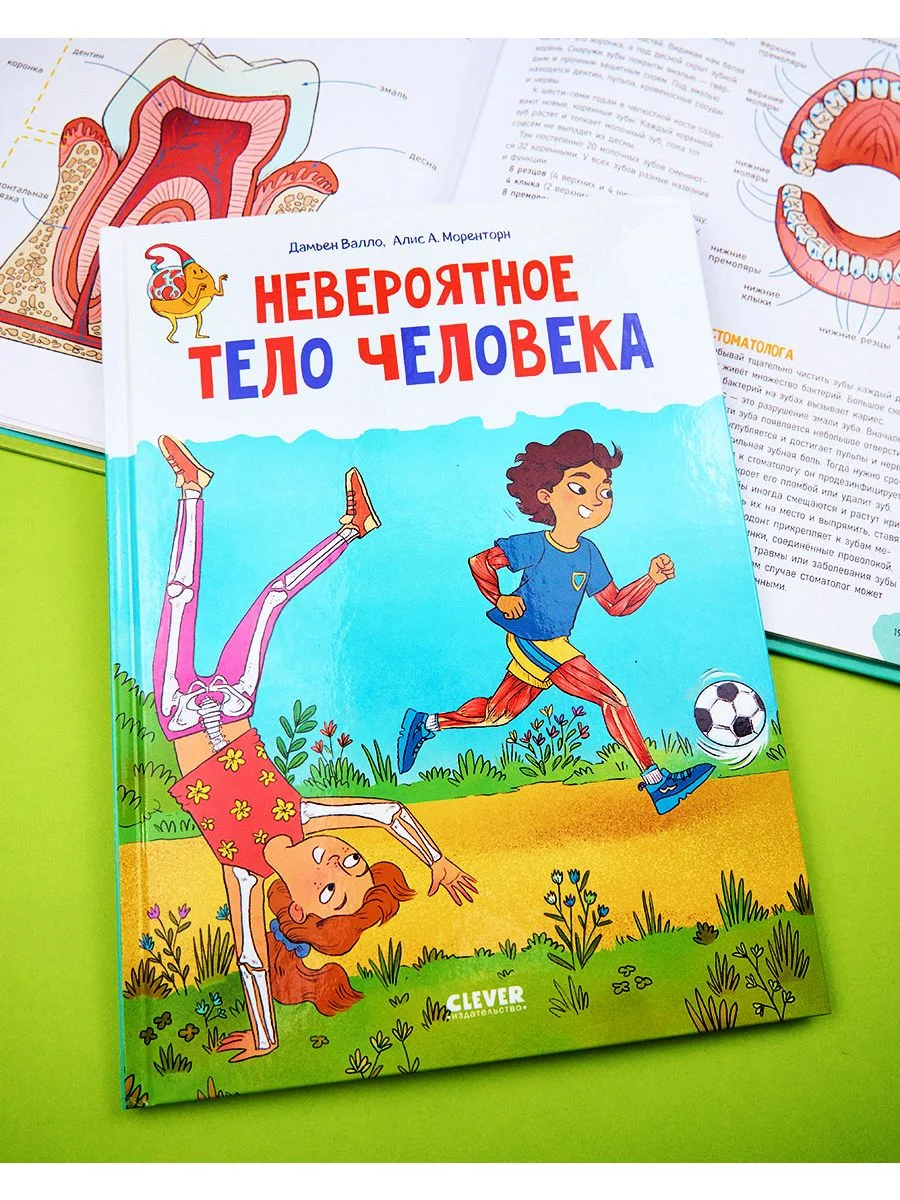 Удивительные энциклопедии. Невероятное тело человека