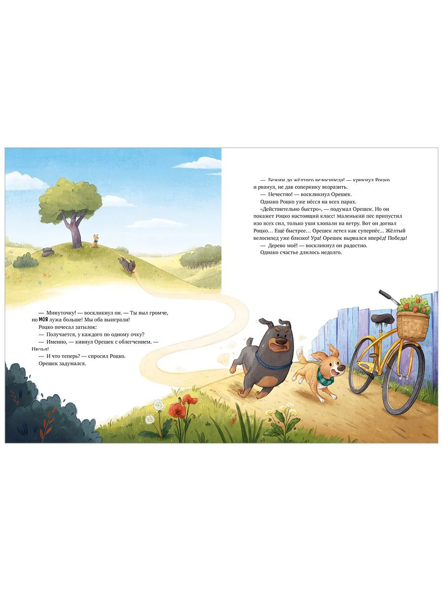 Книжки-картинки. Давай на спор!
