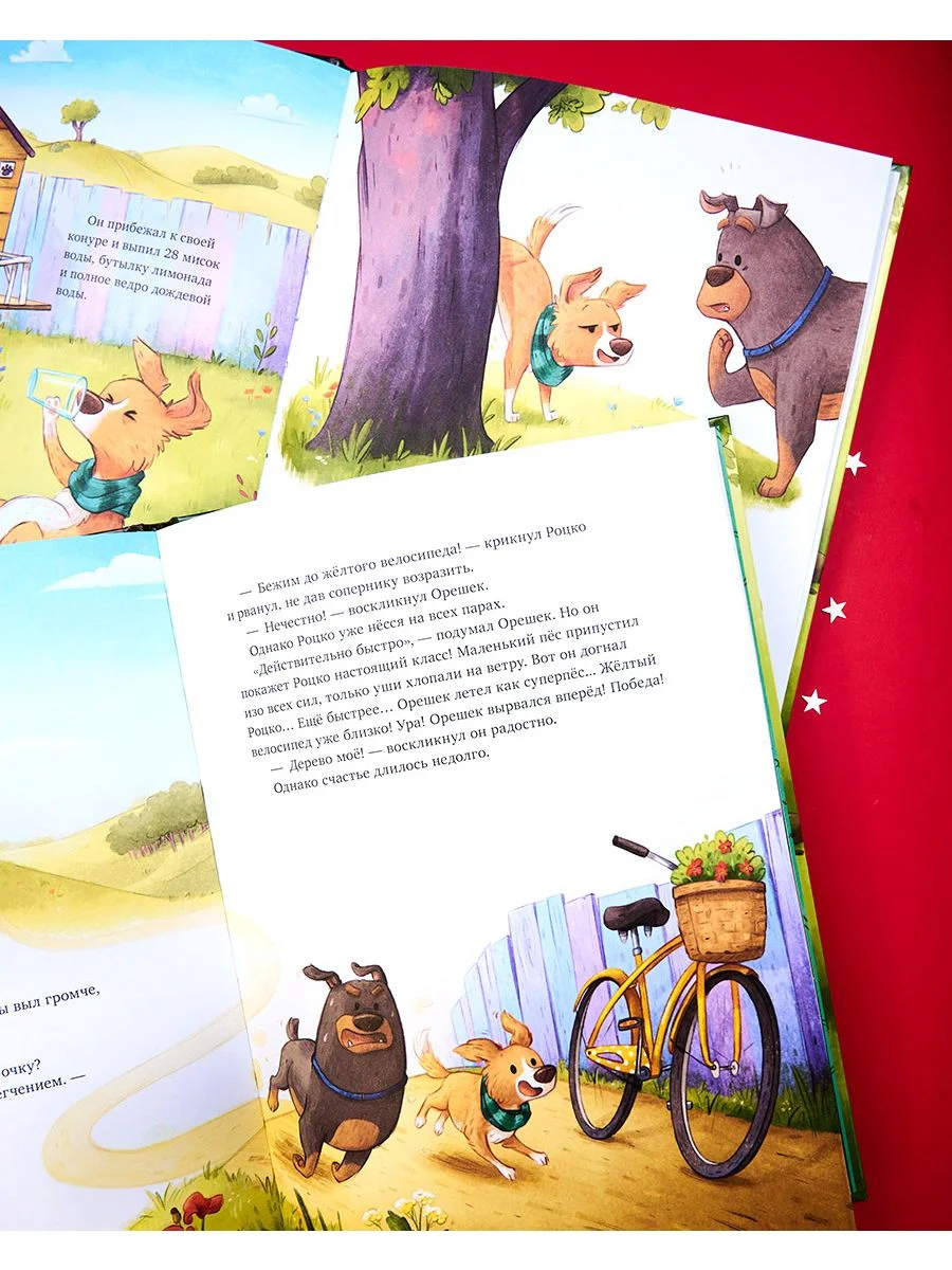 Книжки-картинки. Давай на спор!