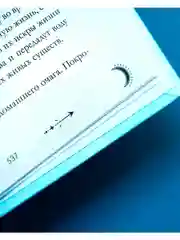 Наследница черного дракона