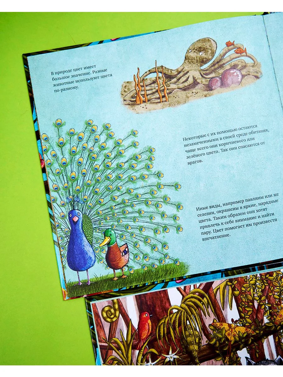 Книжки-картинки. Самый смелый хамелеон