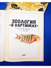 Удивительные энциклопедии. Зоология в картинках
